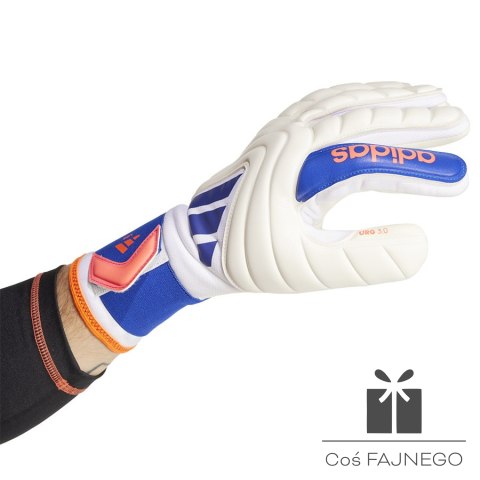 Rękawice adidas Copa GL LGE IX3832, Rozmiar: 11