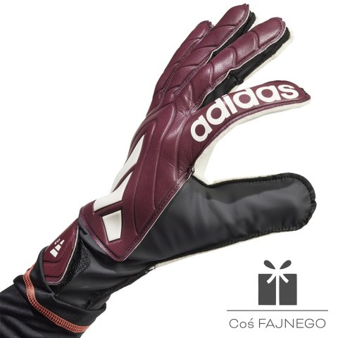 Rękawice adidas Predator Copa GL Club IQ4017, Rozmiar: 10