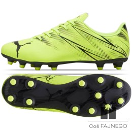 Buty Puma Attacanto FG/AG 107477-07