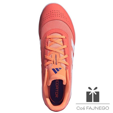 Buty adidas Predator Club Sala IN JH8856