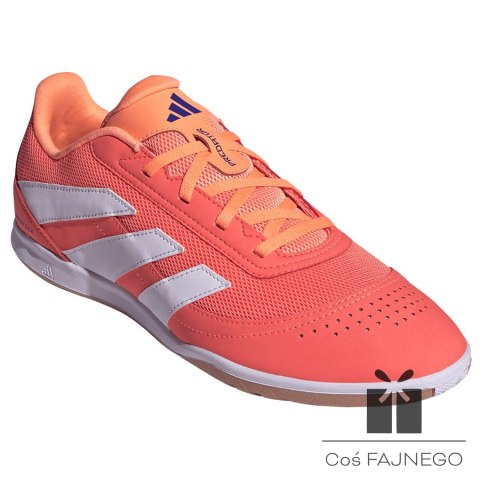 Buty adidas Predator Club Sala IN JH8856