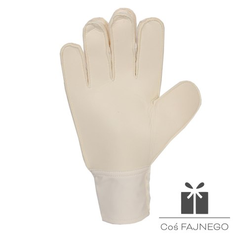 Rękawice adidas Copa GL CLB IQ4016