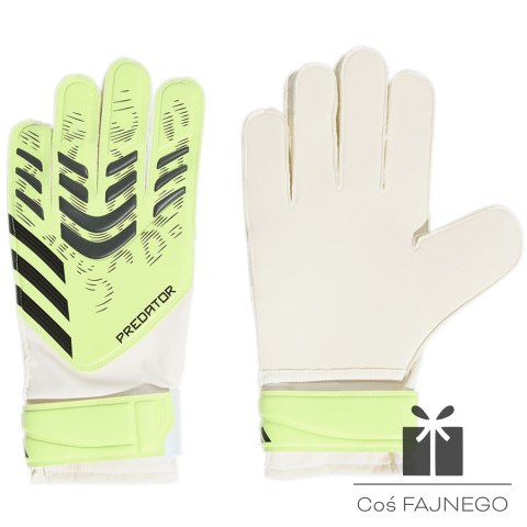 Rękawice adidas Predator GL TRN JN5356