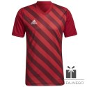 Koszulka adidas ENTRADA 22 GFX JSY HB0572
