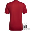 Koszulka adidas ENTRADA 22 GFX JSY HB0572