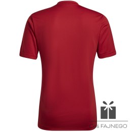 Koszulka adidas ENTRADA 22 GFX JSY HB0572