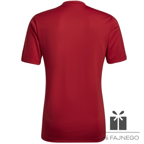 Koszulka adidas ENTRADA 22 GFX JSY HB0572