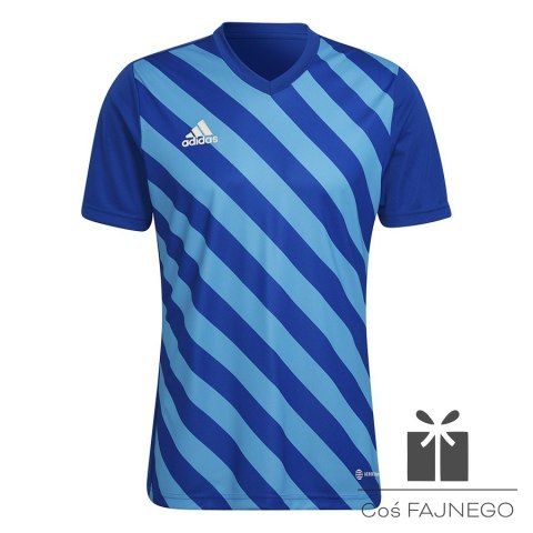 Koszulka adidas ENTRADA 22 GFX JSY HF0116