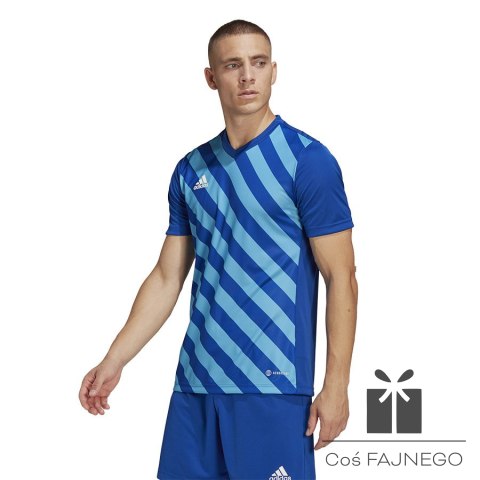 Koszulka adidas ENTRADA 22 GFX JSY HF0116