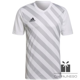 Koszulka adidas ENTRADA 22 GFX JSY HF0129