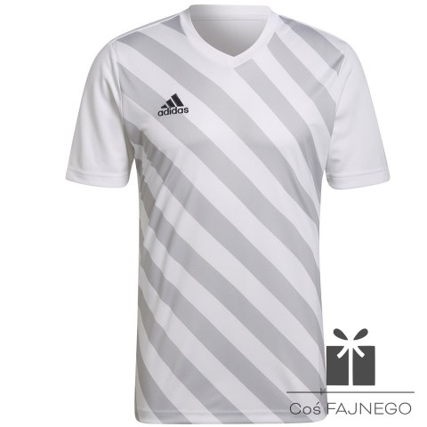 Koszulka adidas ENTRADA 22 GFX JSY HF0129