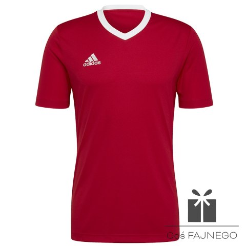 Koszulka adidas ENTRADA 22 JSY H61736
