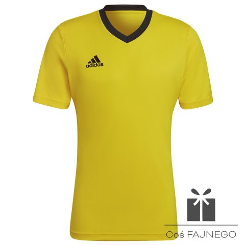Koszulka adidas ENTRADA 22 JSY HI2122