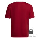 Koszulka adidas ENTRADA 22 JSY Y H57496