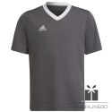 Koszulka adidas ENTRADA 22 JSY Y H57499