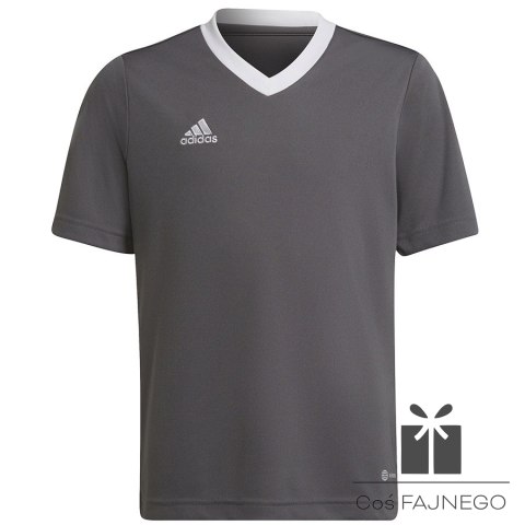 Koszulka adidas ENTRADA 22 JSY Y H57499