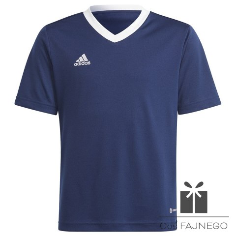 Koszulka adidas ENTRADA 22 JSY Y H57564