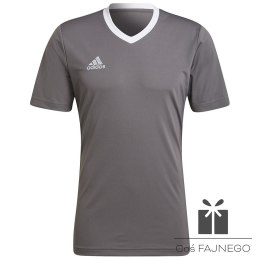 Koszulka adidas ENTRADA 22 JSY Y HE1574
