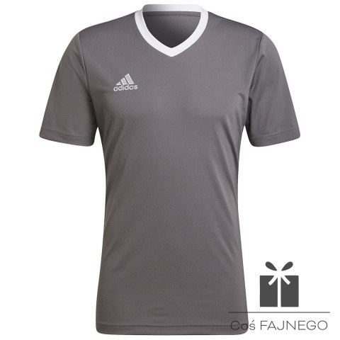 Koszulka adidas ENTRADA 22 JSY Y HE1574