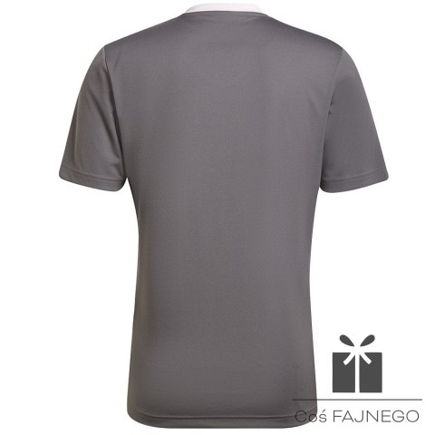 Koszulka adidas ENTRADA 22 JSY Y HE1574