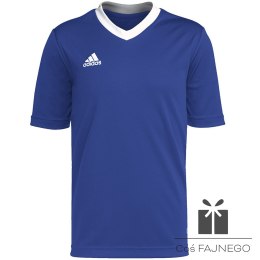 Koszulka adidas ENTRADA 22 JSY Y HG3948