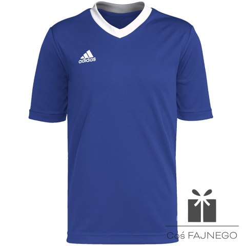Koszulka adidas ENTRADA 22 JSY Y HG3948