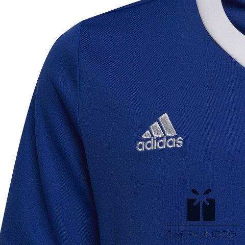 Koszulka adidas ENTRADA 22 JSY Y HG3948