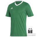 Koszulka adidas ENTRADA 22 JSY Y HI2123