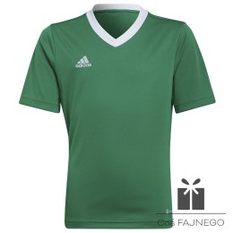 Koszulka adidas ENTRADA 22 JSY Y HI2126