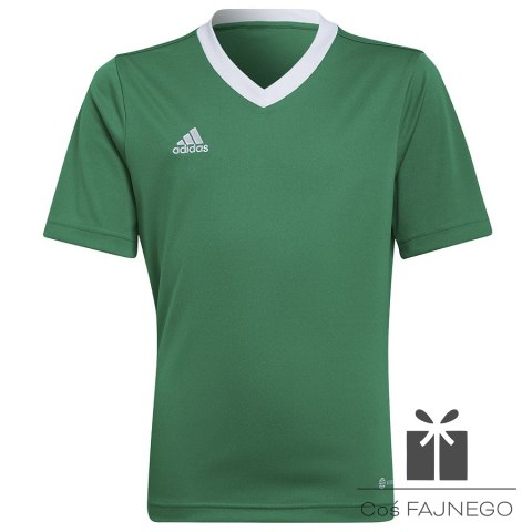 Koszulka adidas ENTRADA 22 JSY Y HI2126