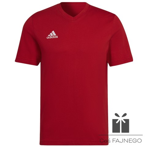 Koszulka adidas ENTRADA 22 Tee HC0451
