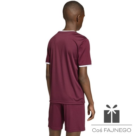 Koszulka adidas ENTRADA 26 JSY Junior JZ2530