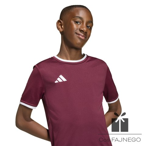 Koszulka adidas ENTRADA 26 JSY Junior JZ2530