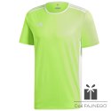 Koszulka adidas Entrada 18 JSY CE9758
