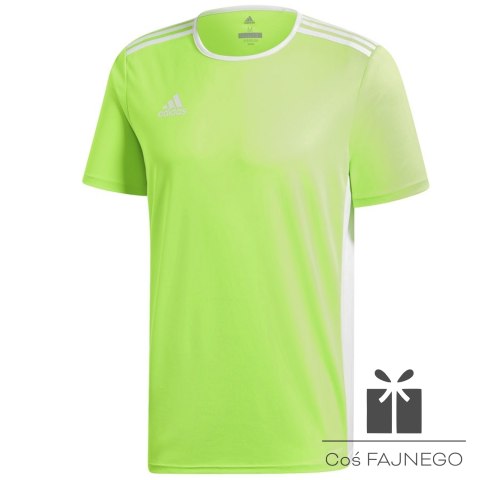 Koszulka adidas Entrada 18 JSY CE9758