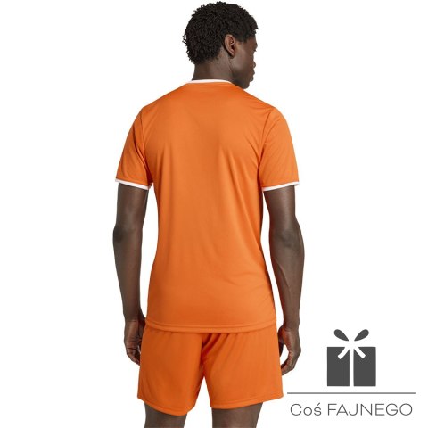 Koszulka adidas Entrada 26 JSY JZ2509