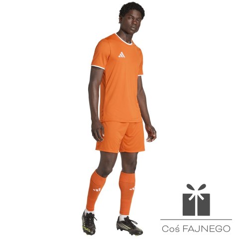 Koszulka adidas Entrada 26 JSY JZ2509