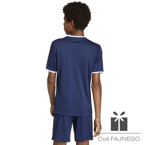Koszulka adidas Entrada 26 JSY JZ2522