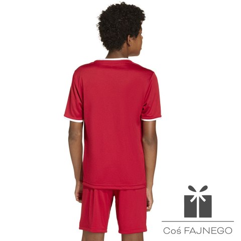 Koszulka adidas Entrada 26 JSY JZ2523