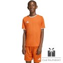 Koszulka adidas Entrada 26 JSY JZ2526