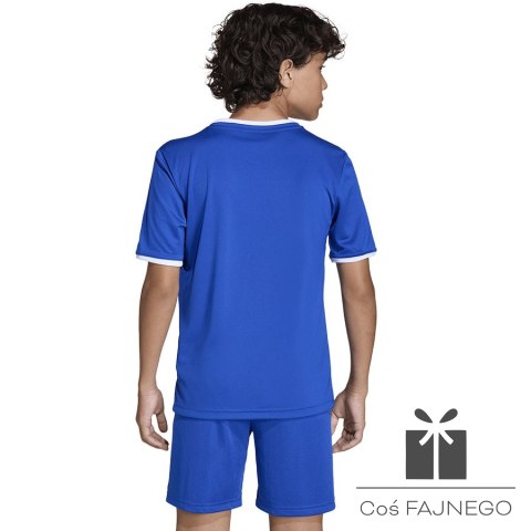 Koszulka adidas Entrada 26 JSY JZ2531