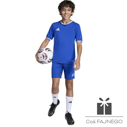 Koszulka adidas Entrada 26 JSY JZ2531