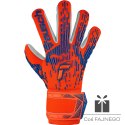 Rękawice Reusch Attrakt Freegel Silver 54 70 235 2210