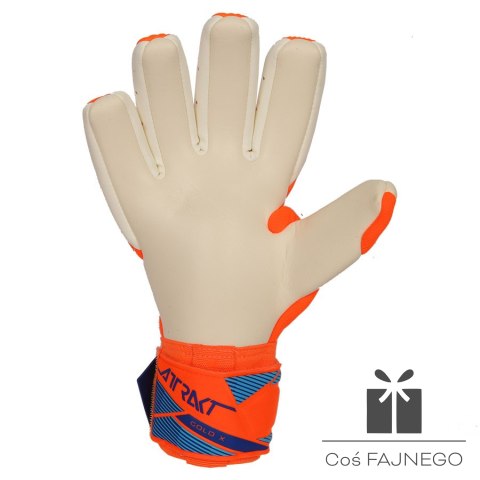 Rękawice Reusch Attrakt Gold X NC World Cup 56 70 056 2290