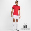 Koszulka Nike Academy 25 SS Top FZ9754-654