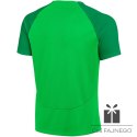 Koszulka Nike Academy Pro DH9225 329