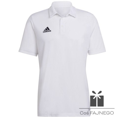 Koszulka adidas Polo ENTRADA 22 HC5067