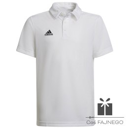 Koszulka adidas Polo ENTRADA 22 Y HC5059