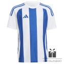 Koszulka adidas STRIPED 24 JSY IW2134