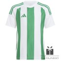 Koszulka adidas STRIPED 24 JSY Jr IW2138